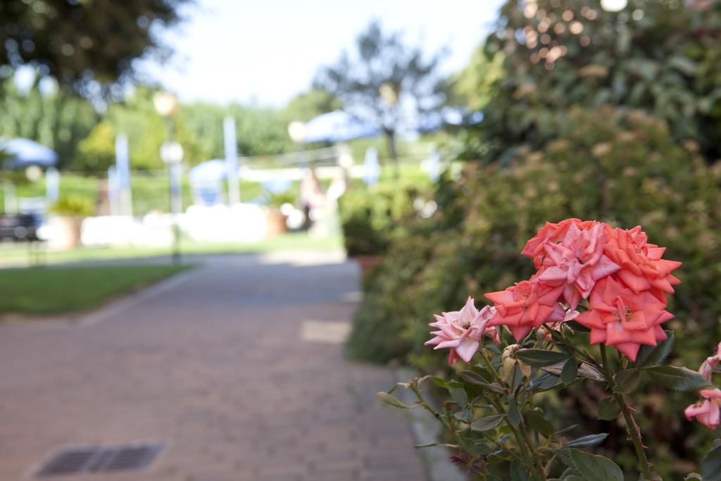 Residence Borgomare アルベンガ エクステリア 写真